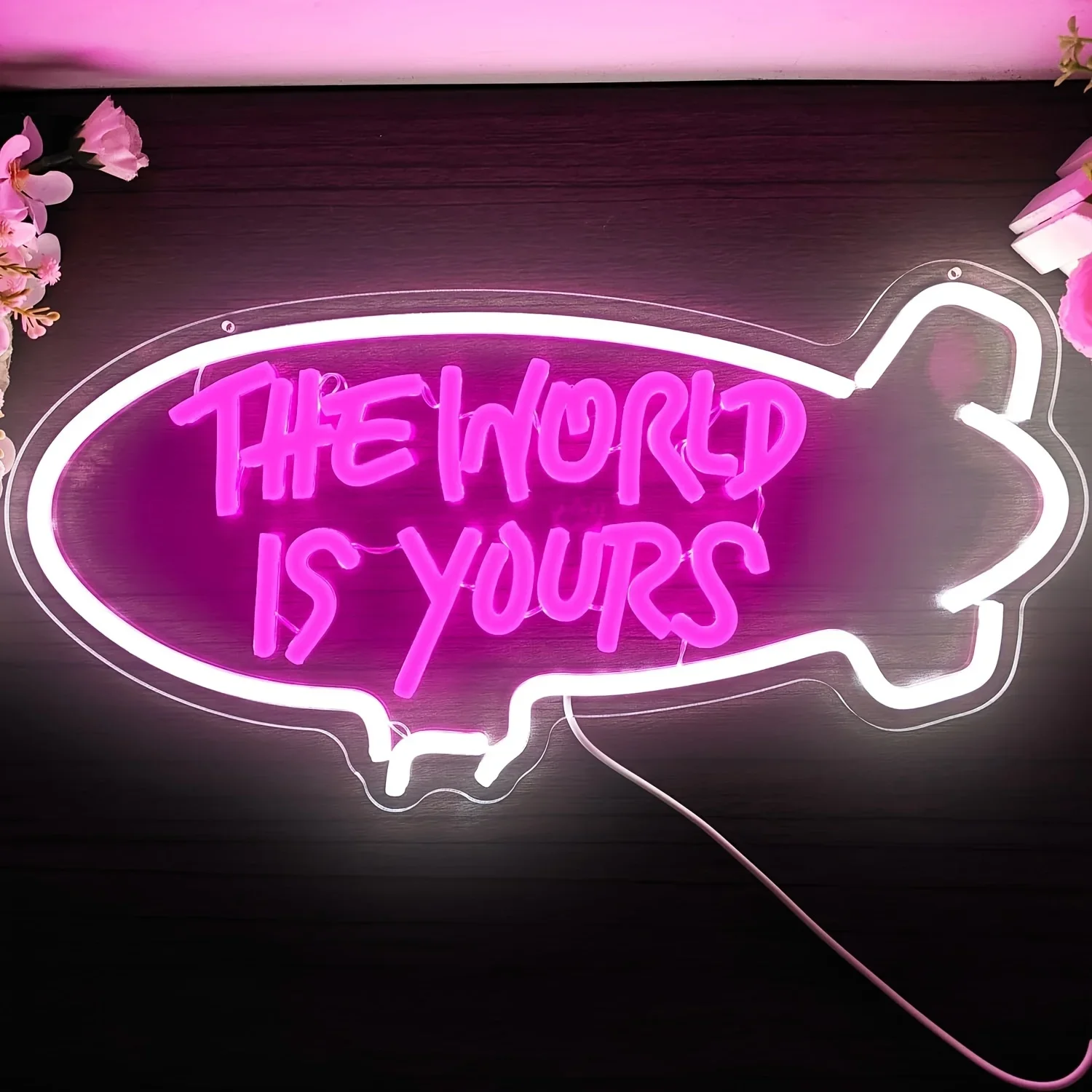 Lighting World Decor - The World Is Yours Blimp Neon-Schild